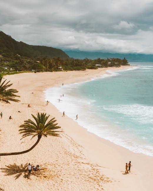 Riding the Iconic Waves of Oahus North Shore