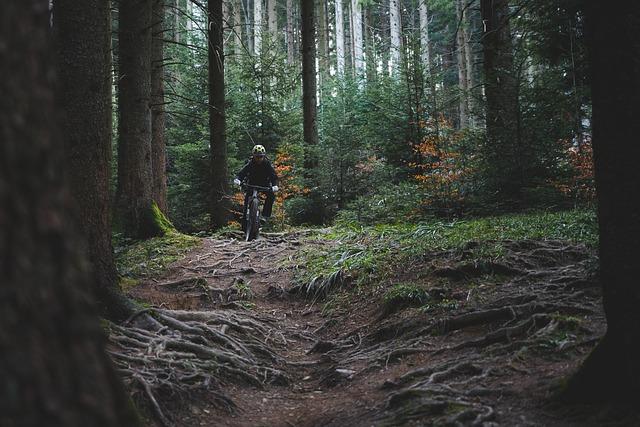 Understanding the Environmental Impact of Mountain Biking