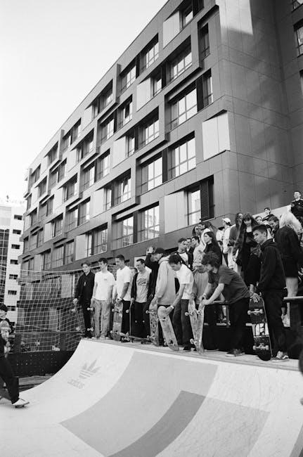The Aesthetic Evolution of Skateboarding Culture
