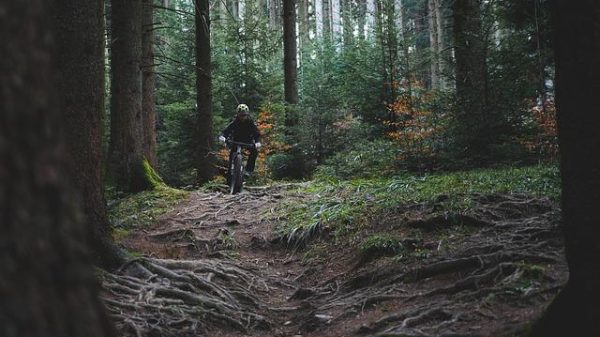 Top 10 Mountain Biking Trails That Will Take Your Breath Away