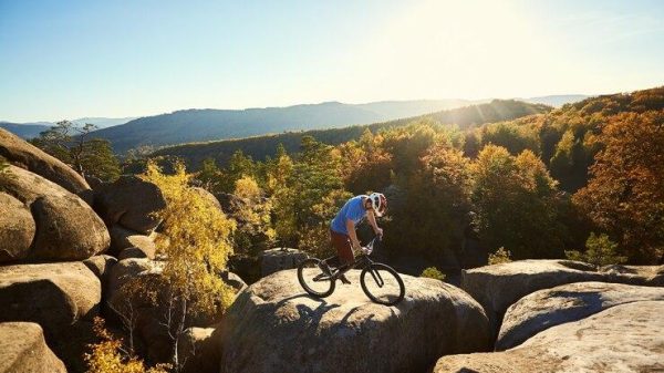 Essential Skills Every Mountain Biker Should Learn