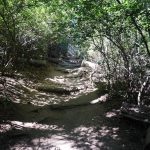 Where to Go Mountain Biking in Patagonia for the Ultimate Adventure