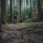 Where to Find the Best Mountain Biking Trails in Asia