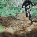 The Best Mountain Biking Trails for Beginners and Pros