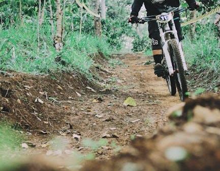 The Best Mountain Biking Trails for Beginners and Pros