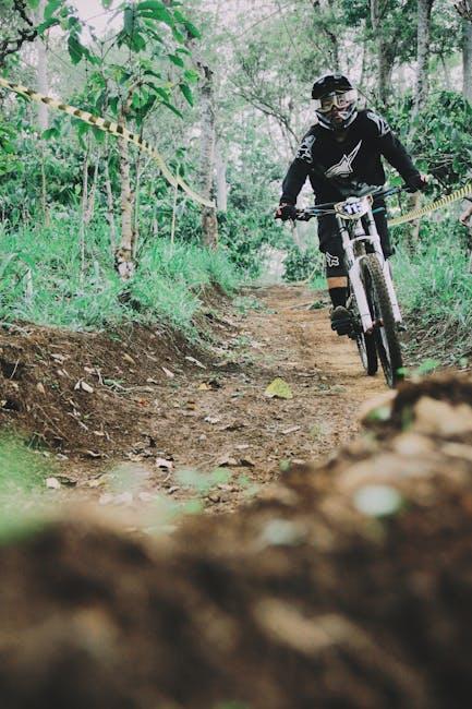 The Best Mountain Biking Trails for Beginners and Pros