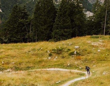 The Most Challenging Mountain Biking Trails in the Dolomites