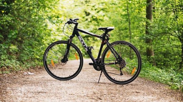 Best Mountain Bikes for Off Road Adventures