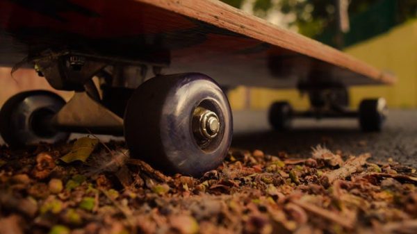 Best Skateboard Trucks for Beginners