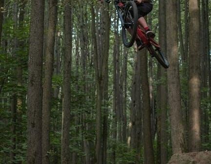 Is the Growth of Freeride Mountain Biking Detrimental to Traditional Racing