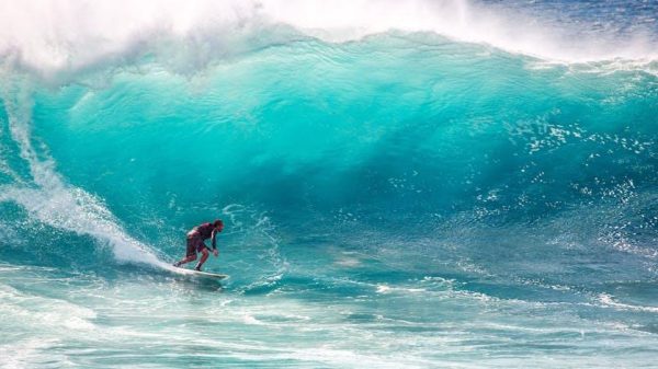 Should Big Wave Surfing Be Better Regulated