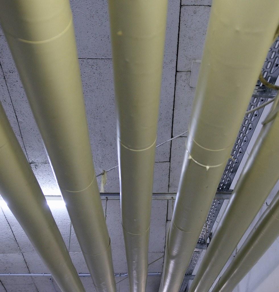 Should Famous Surf Spots Like Pipeline Be Closed to Protect Coral Reefs