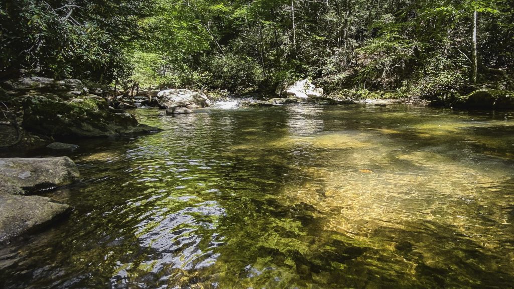 How to find hidden mountain biking trails in the Rocky Mountains