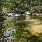 How to find hidden mountain biking trails in the Rocky Mountains