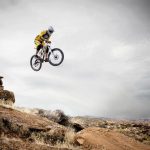 Should Mountain Biking Be Banned in National Parks to Protect Wildlife