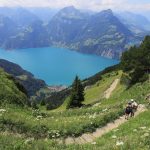 Top Extreme Sports Locations for Summer Thrills