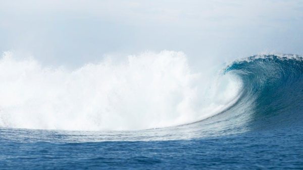 Surfing in Fiji Where to Catch the Perfect Barrel