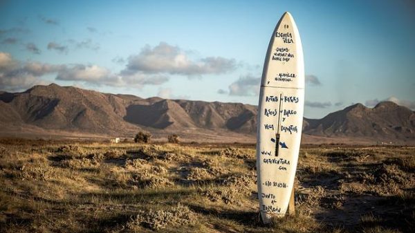 How to Choose the Right Surfboard Fins