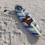 Surfing Basics Every Beginner Needs to Know