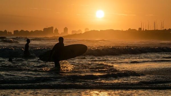 How to Pick the Right Surfboard for Wave Size