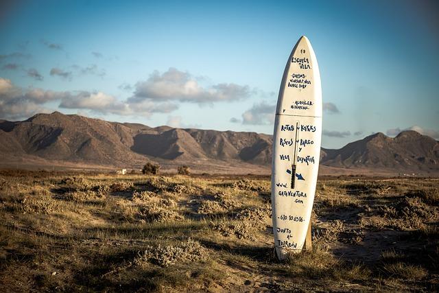 The Best Surfboard Leashes for All Skill Levels