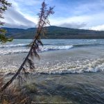 Surfing Tips for Riding Bigger Waves Safely