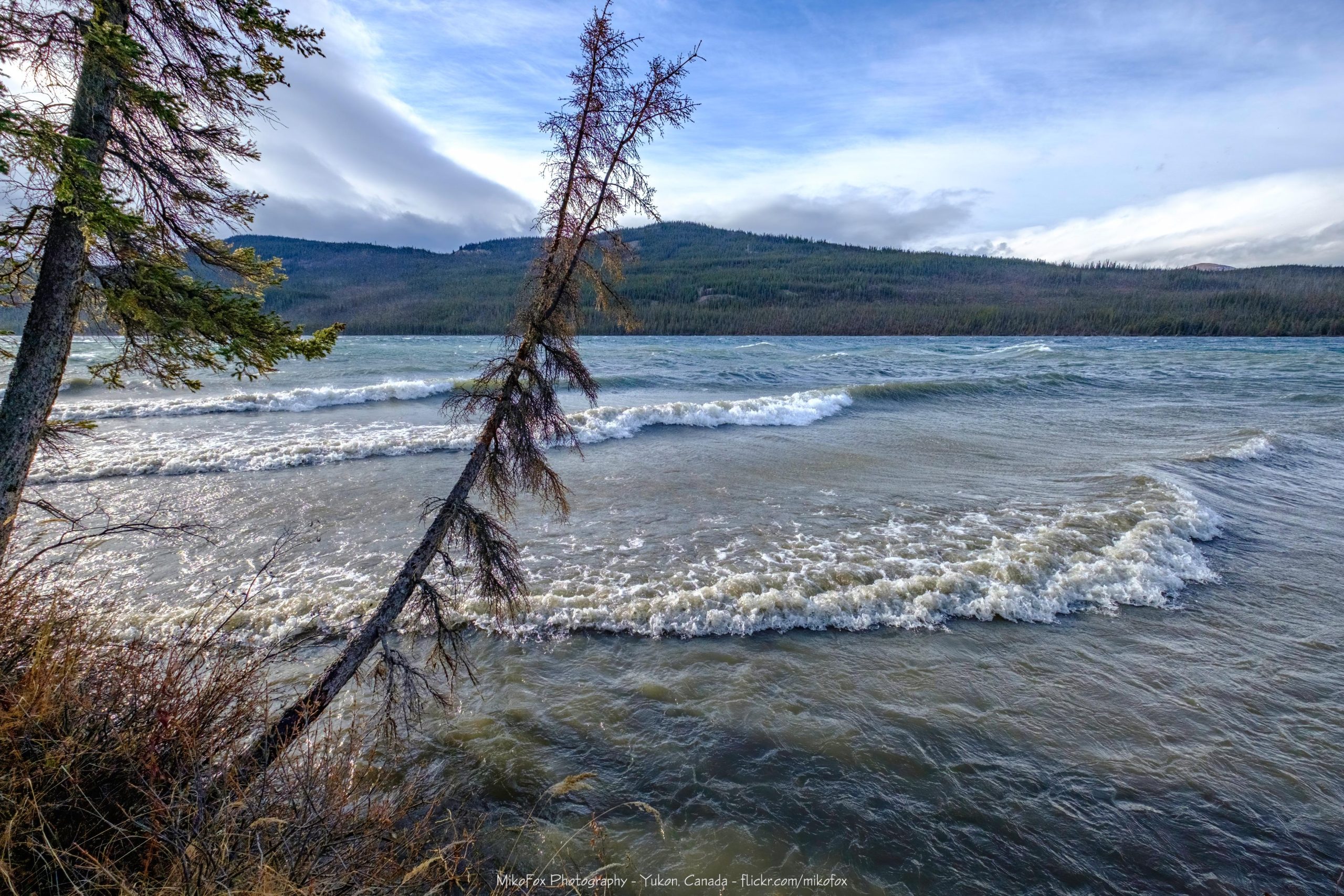 Surfing Tips for Riding Bigger Waves Safely
