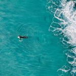 Should Surf Schools Limit the Number of Students in Each Class