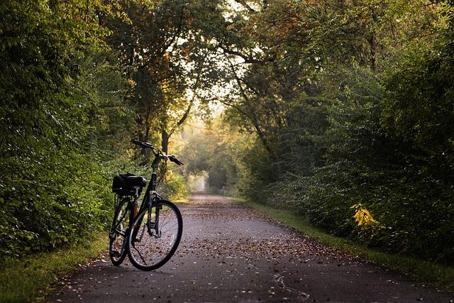 Choosing the Perfect Tire Tread for European Adventures