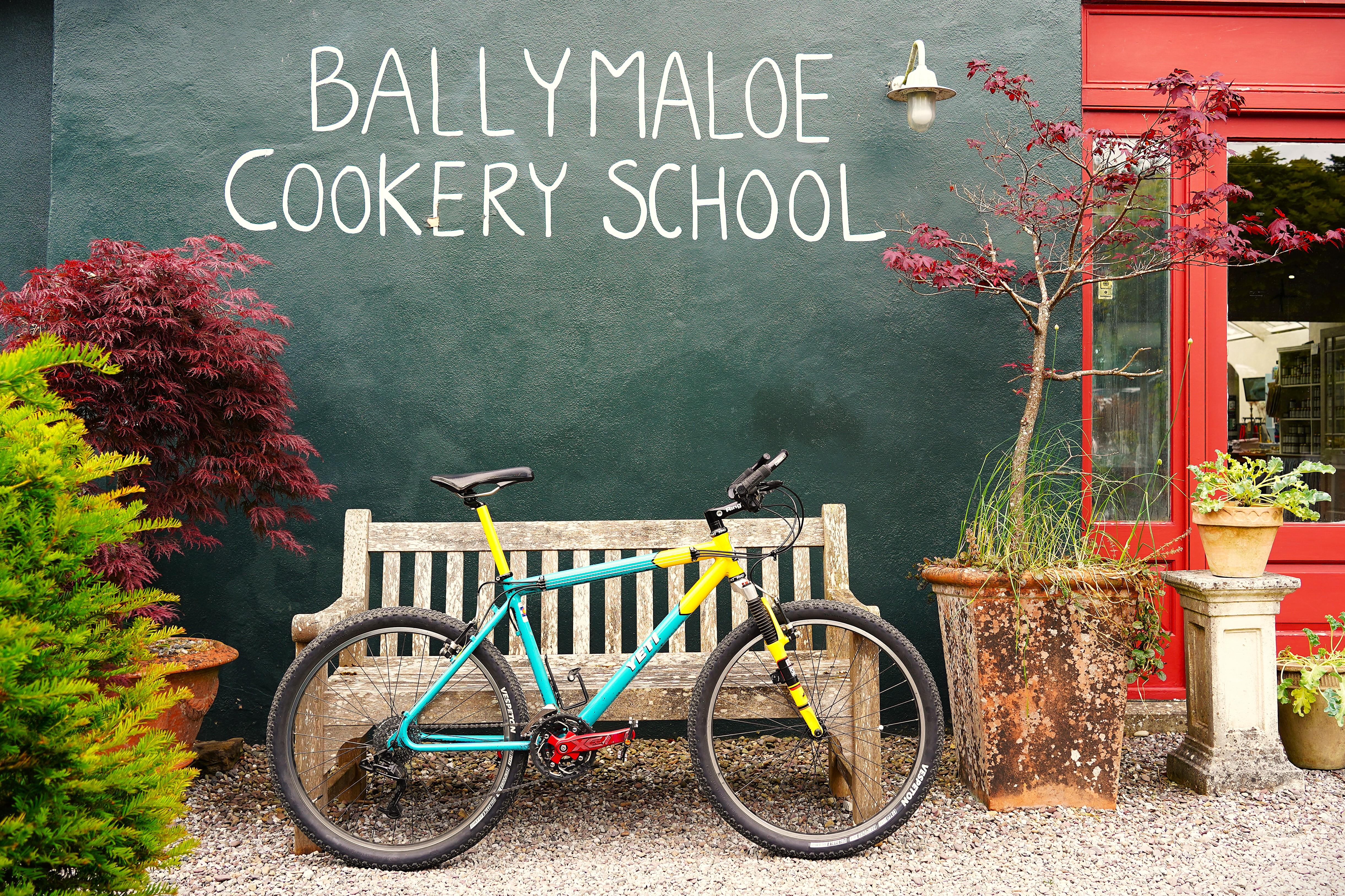 Top Recommended Brands and Models for Optimal Performance