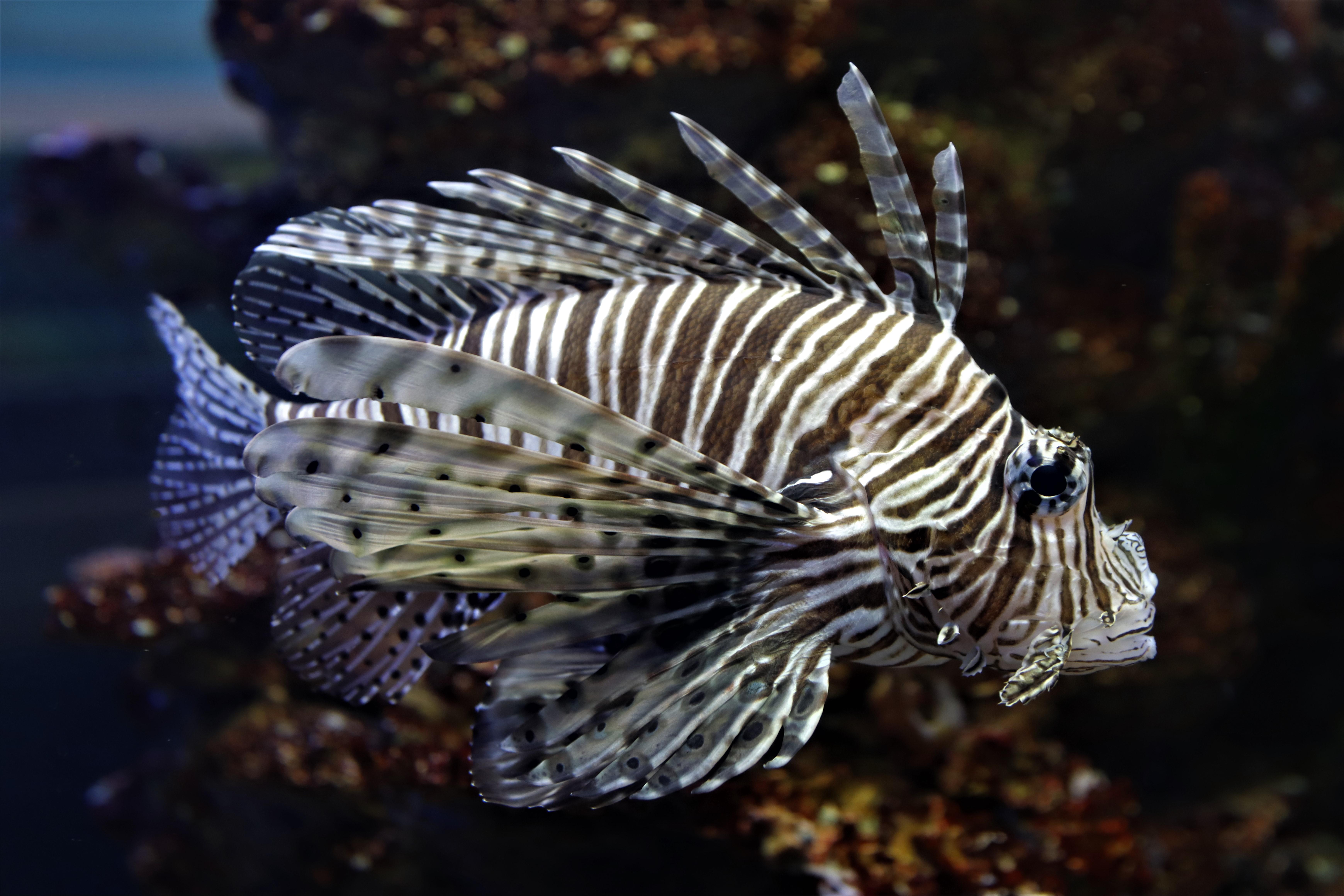 Embracing Ocean Conservation through Surfing Practices