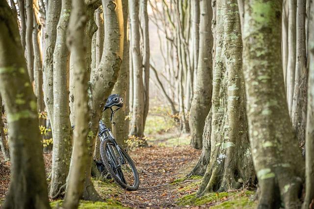 Beyond the Ordinary Experience Africas Most Challenging Bike Routes