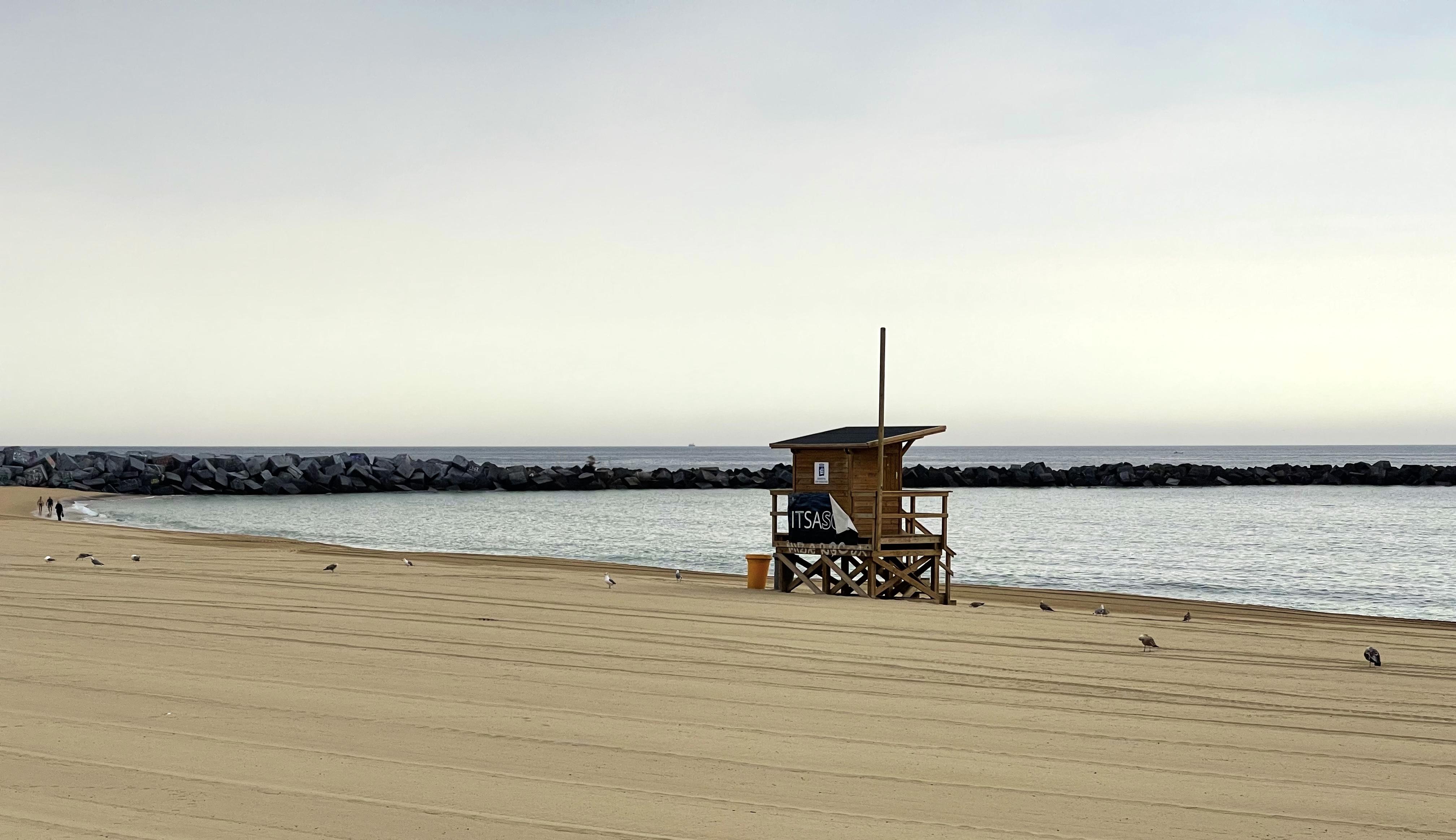 Skate Parks and Skyrocketing Rents Exploring the Impact of Urban Development