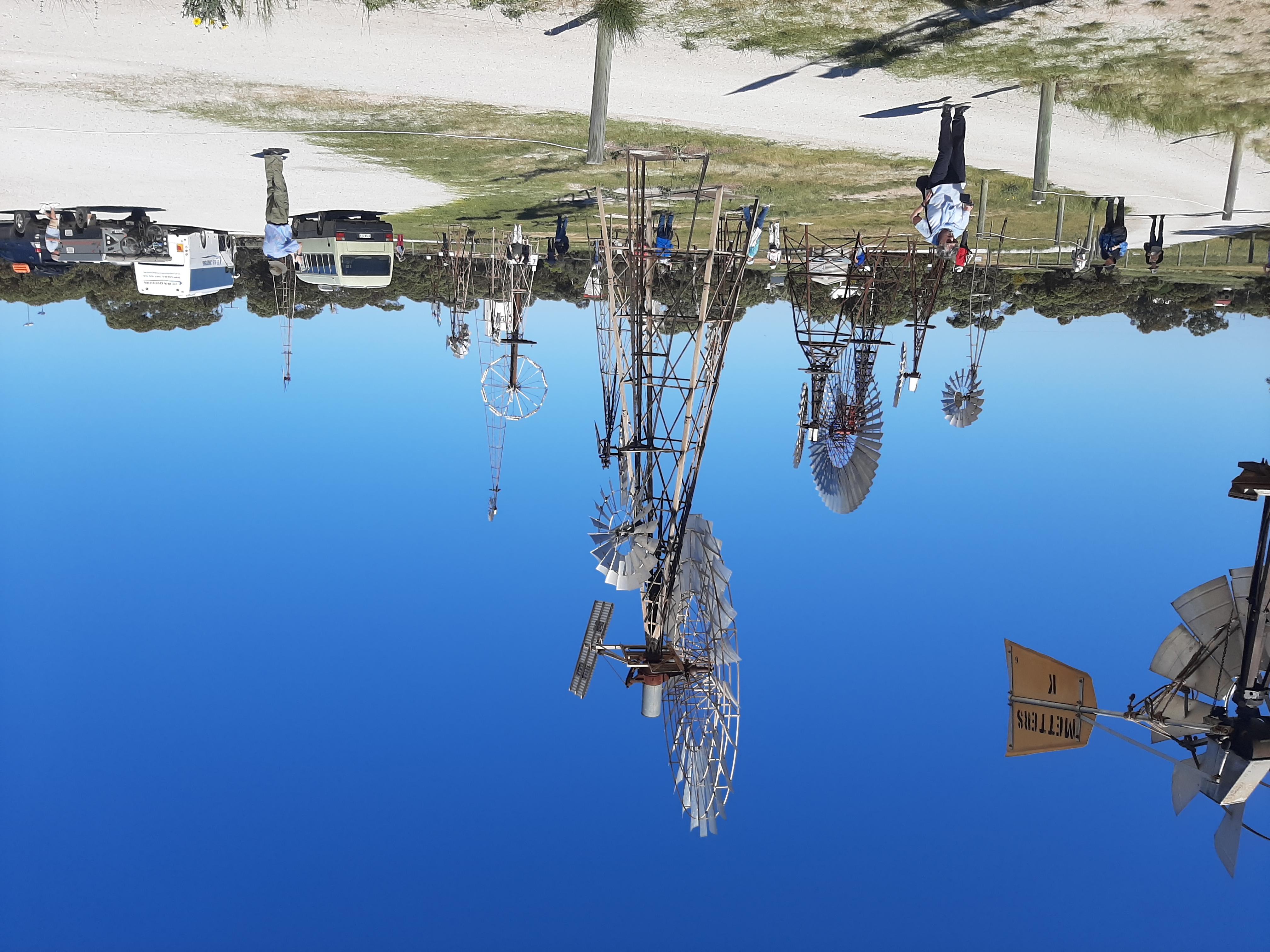 Harnessing Ocean Conservation Efforts Through the Surfing Community