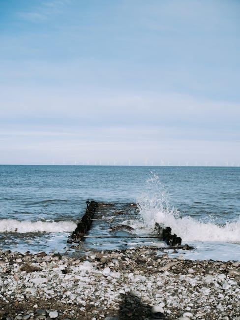 Harnessing Renewable Energy to Support Sustainable Surfing Practices