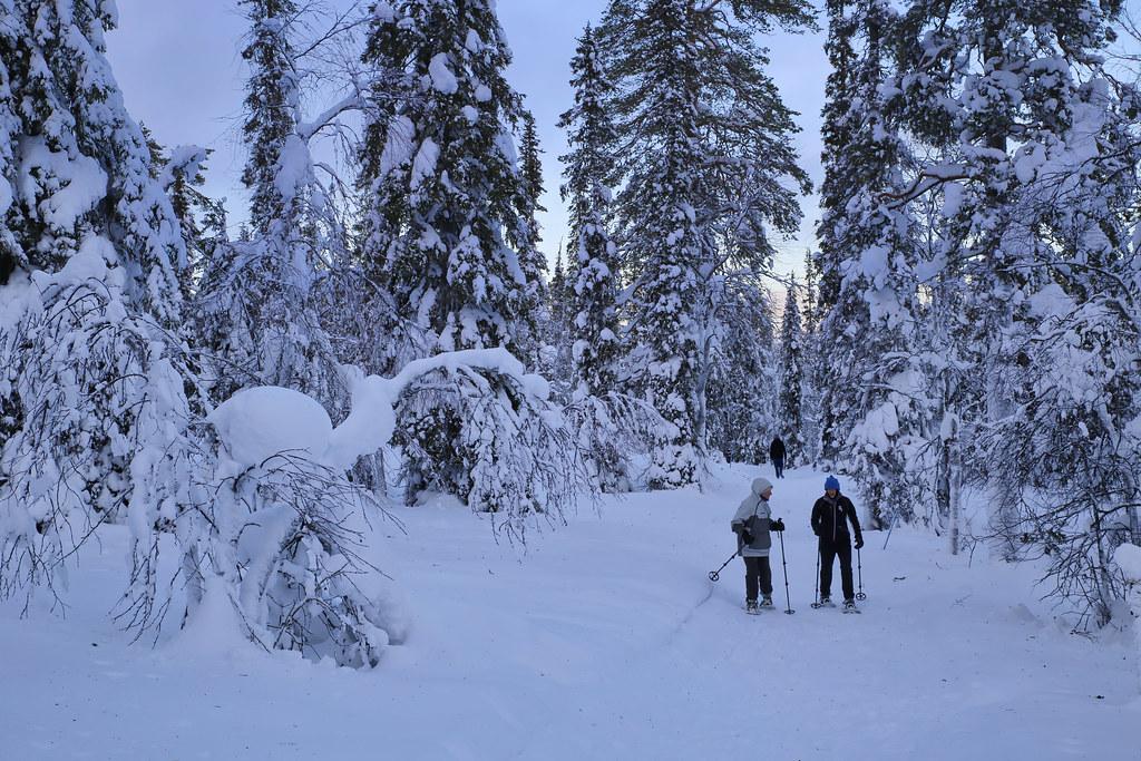 Exploring the Top Destinations for Pristine Powder