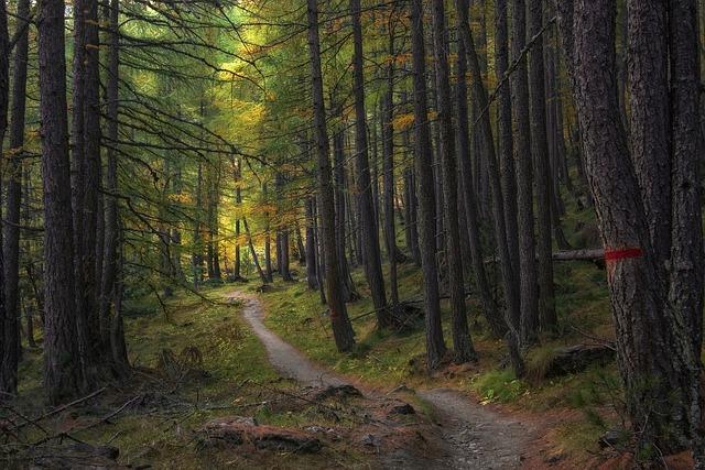 Conquer the Peaks Elevate Your Stamina on Iconic Pyrenean Trails