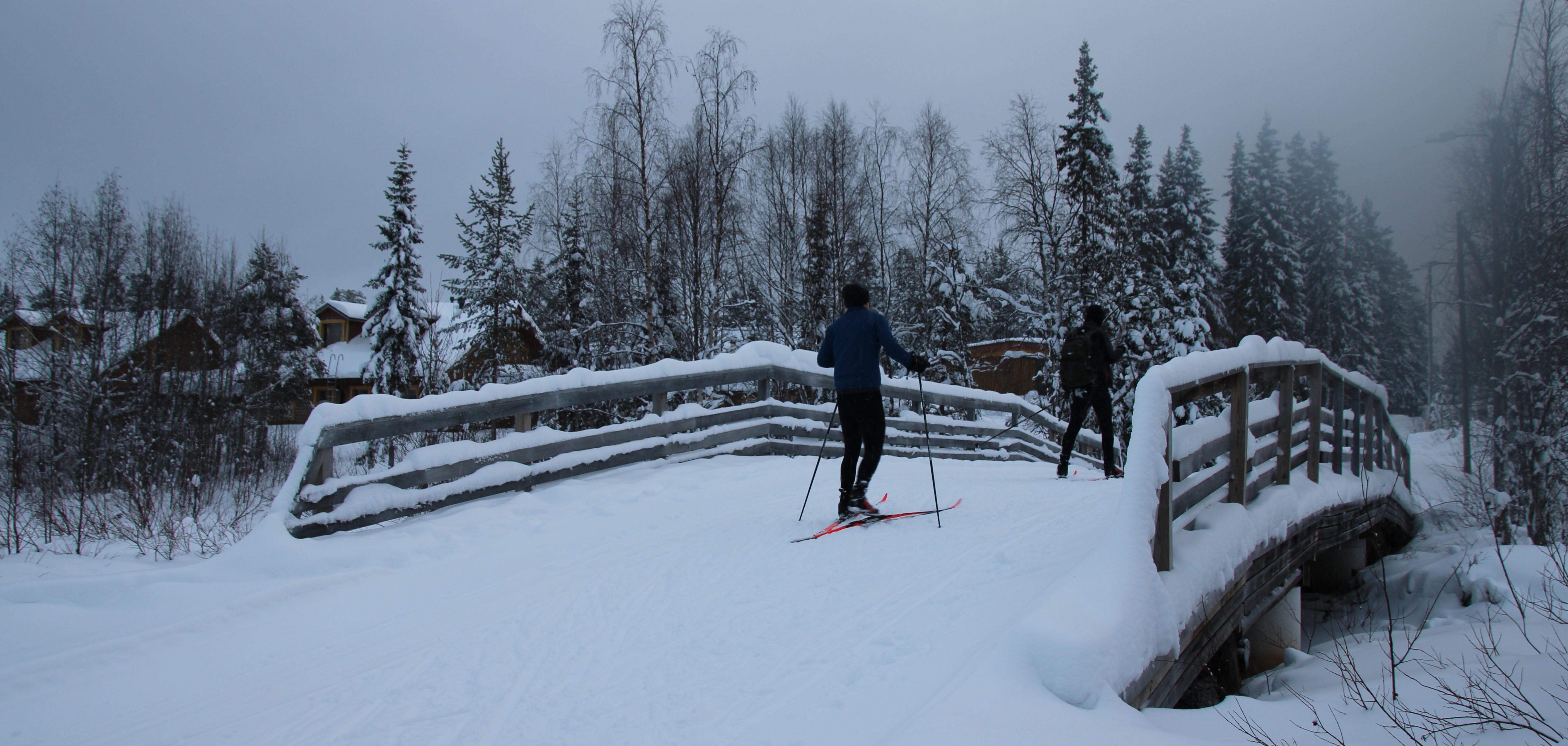 Understanding the Temperature and Snow Conditions