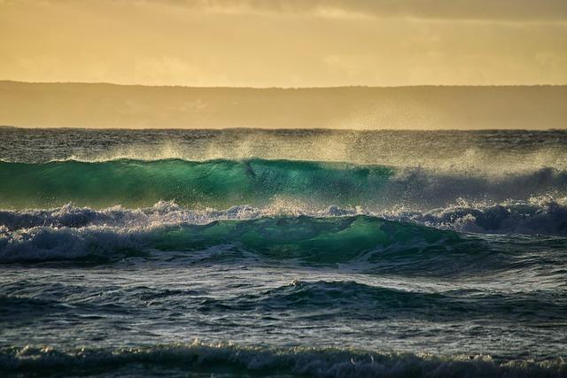 Exploring the Untamed Beauty of Jeffreys Bay