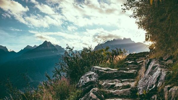 Where to Find the Best Mountain Biking Trails in the Rockies