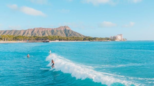 Should Surfing at Iconic Spots Be Limited to Protect Marine Life