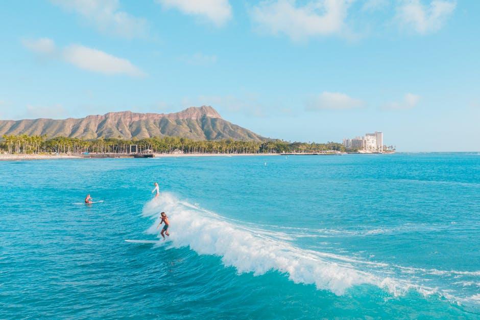 Should Surfing at Iconic Spots Be Limited to Protect Marine Life