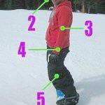 Snowboarding Stance Guide Regular vs Goofy Explained