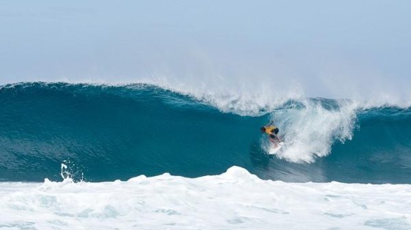 Are Surfing Competitions Disrupting Local Ecosystems