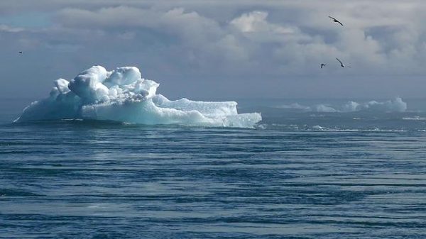 Is Climate Change Destroying Surfing as We Know It