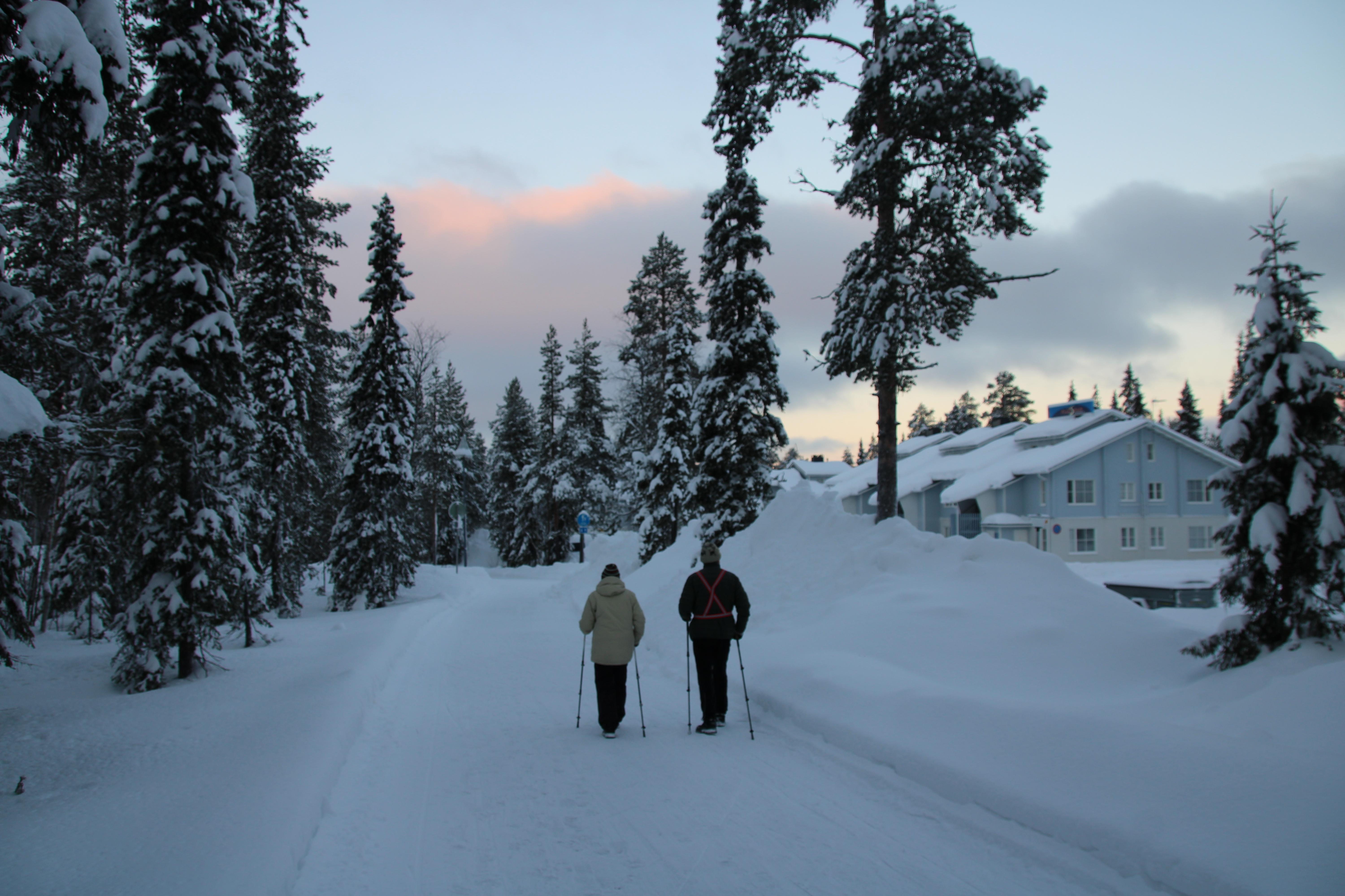 Building Endurance and Agility for Challenging Terrains