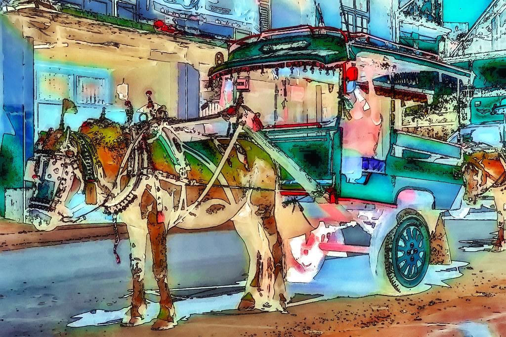 Strategic Partnerships Between Surfers and Environmental Organizations