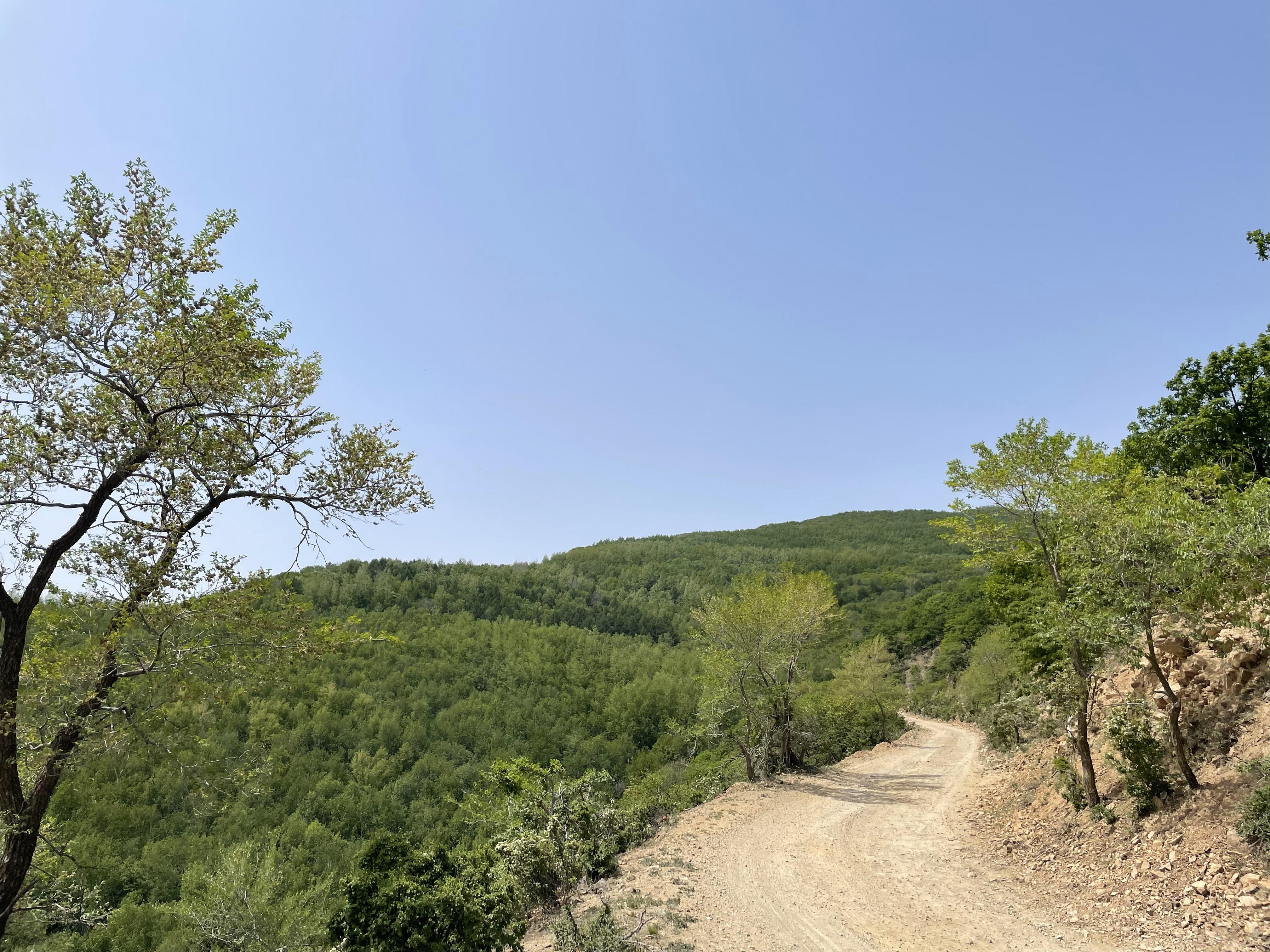 Essential Gear and Gadgets for Mountain Biking Bliss