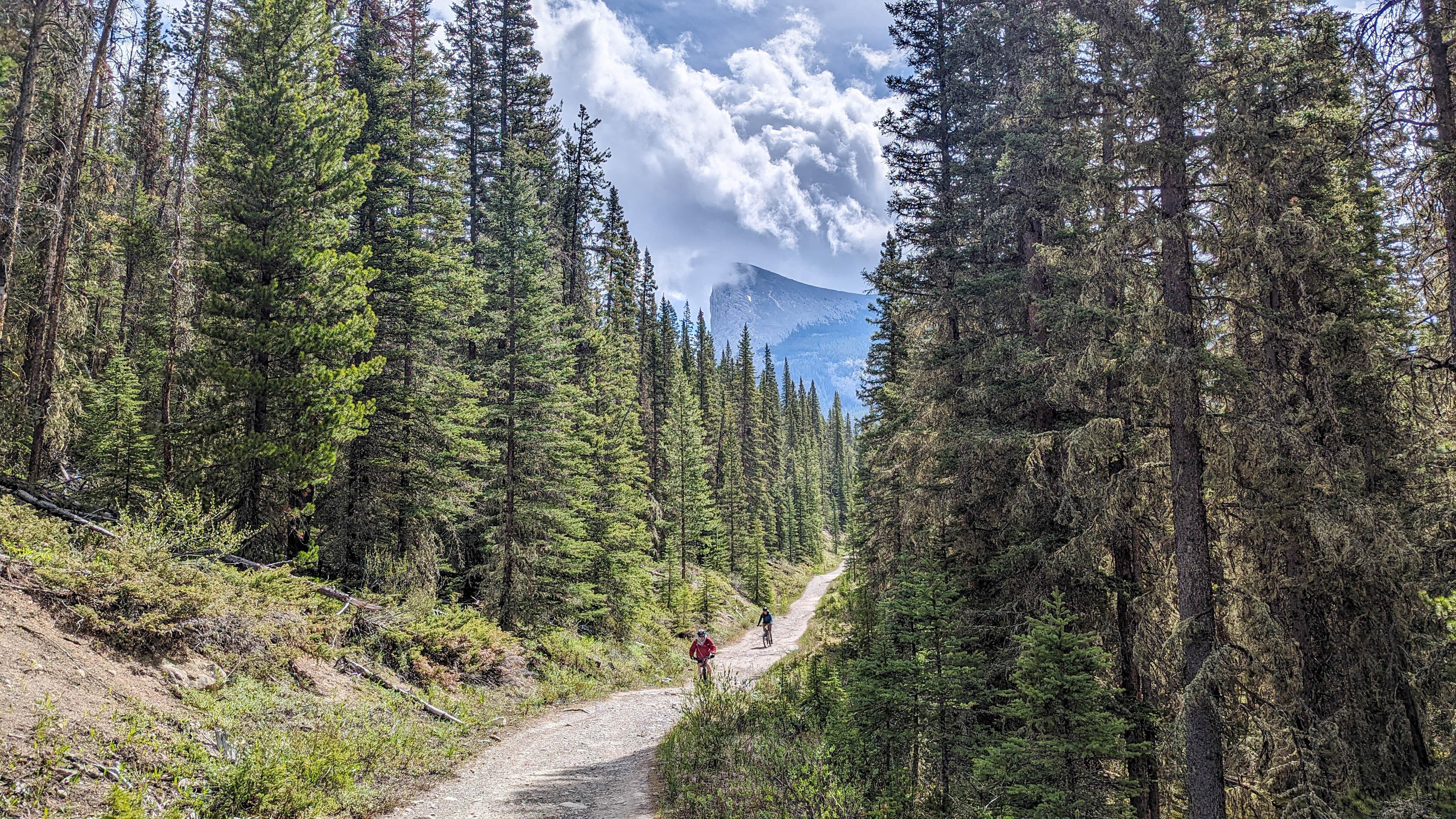 Gear Up and Ride: Expert Tips for Navigating Canadas Top Trails