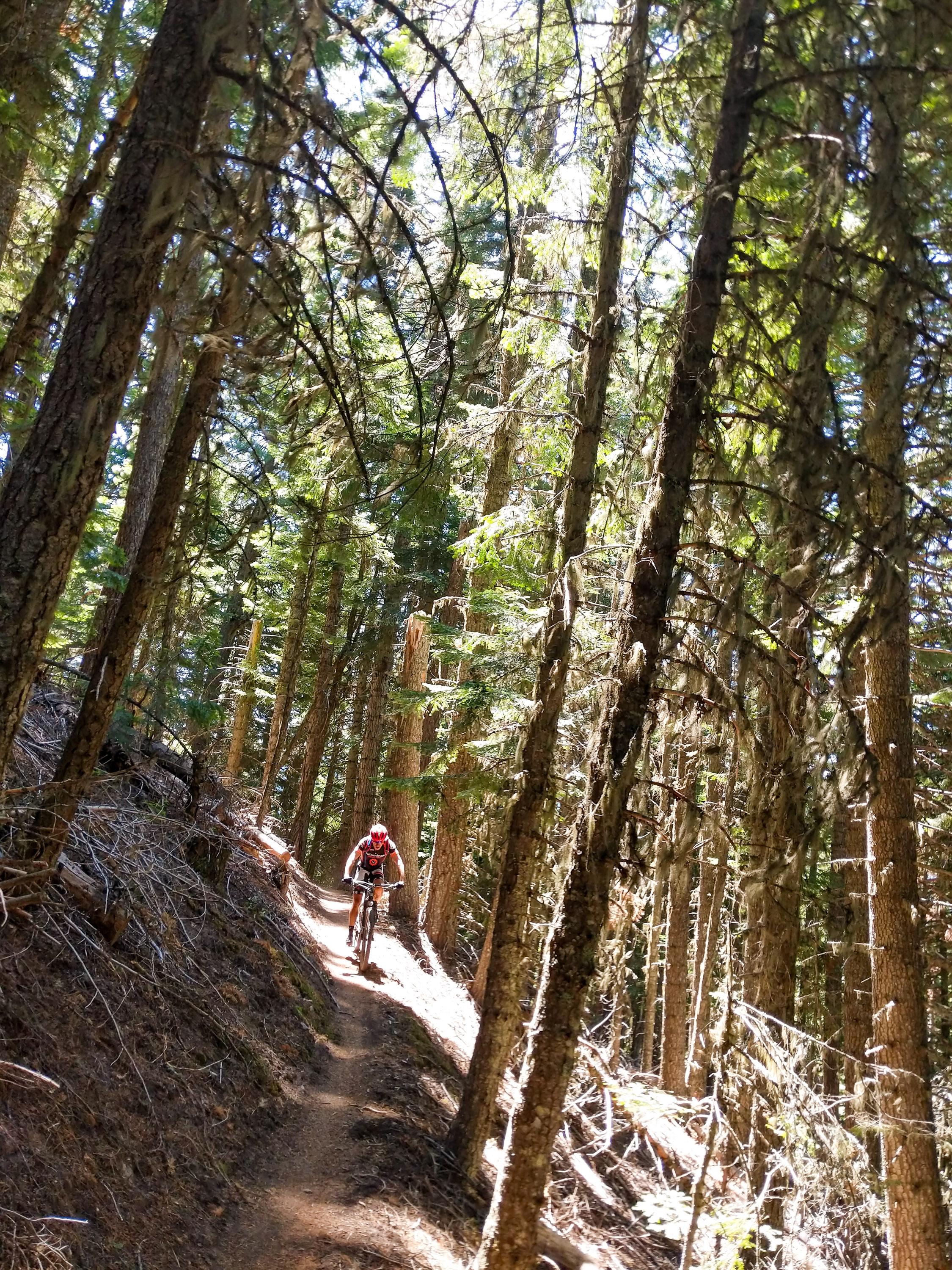 Mastering Proper Riding Techniques for a Strain-Free Adventure